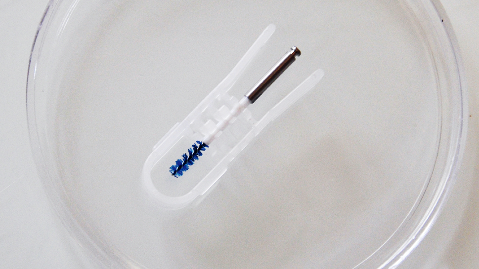 3.　Labrida BioClean™の入ったホルダー を慎重に滅菌生理食塩水につけ、 2 分間 放置します。