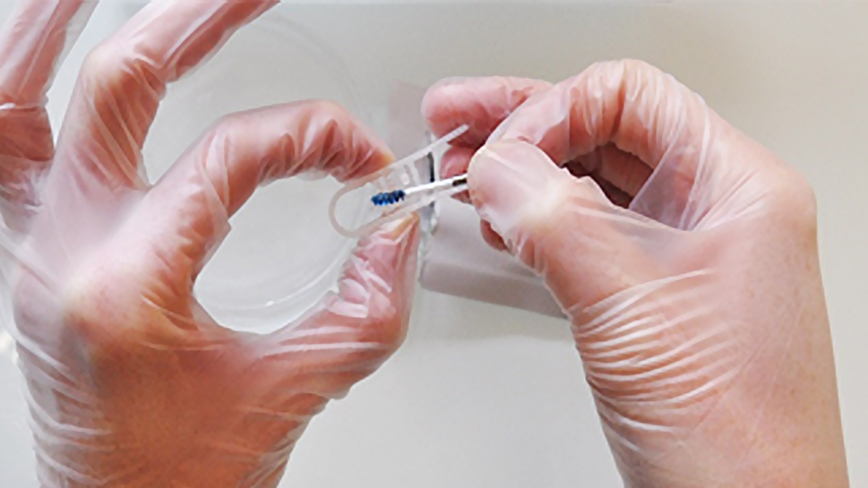 4. Labrida BioClean™ をホルダーから取り外します。キトサンフィラメントを損傷する可能性があるため、指や器具で青いブラ シの毛に触れないようにしてください。