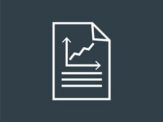 Share performance