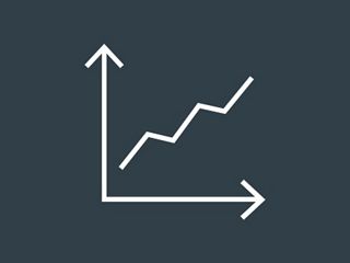 Share performance