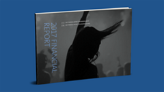 2017 Annual Report