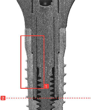 Schnittbilder_Medentika_Abutments, kompatibel mit Altatec® / Camlog® Screw-Line – Root-Line 2®