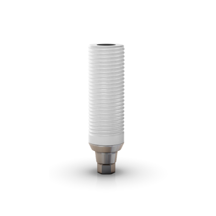 Alvim CM