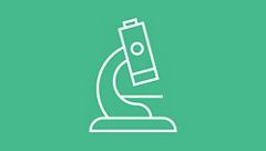 Women Implantology Network WIN